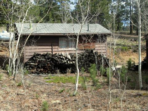 47 Royal Ct, Bailey, CO 80421 photo 17