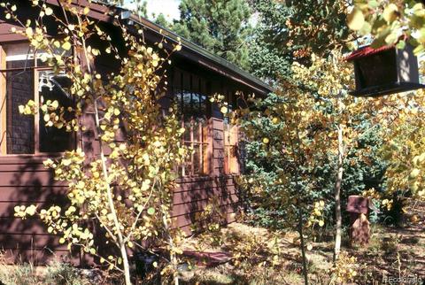 47 Royal Ct, Bailey, CO 80421 photo 29