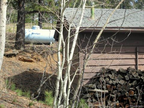 47 Royal Ct, Bailey, CO 80421 photo 14