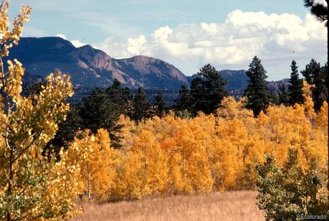 47 Royal Ct, Bailey, CO 80421 photo 13