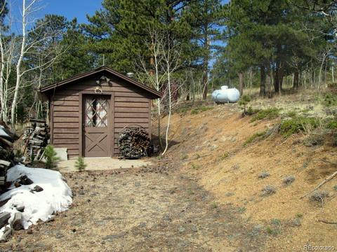 47 Royal Ct, Bailey, CO 80421 photo 2