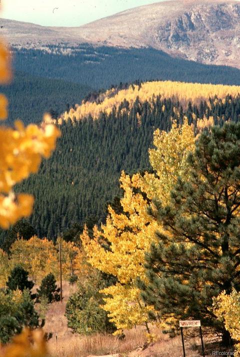 47 Royal Ct, Bailey, CO 80421 photo 7