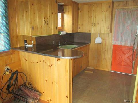 47 Royal Ct, Bailey, CO 80421 photo 3