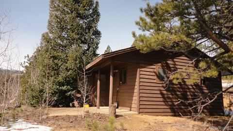 47 Royal Ct, Bailey, CO 80421 photo 1