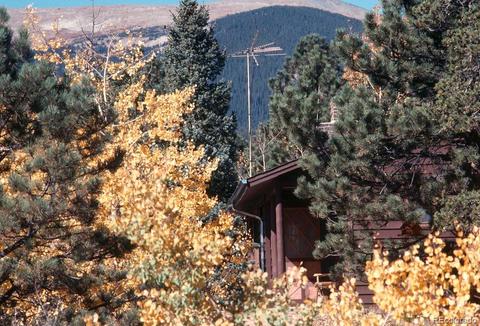 47 Royal Ct, Bailey, CO 80421 photo 27