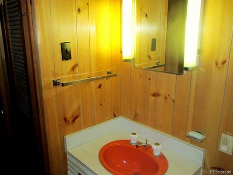 47 Royal Ct, Bailey, CO 80421 photo 11