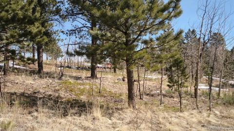 47 Royal Ct, Bailey, CO 80421 photo 26