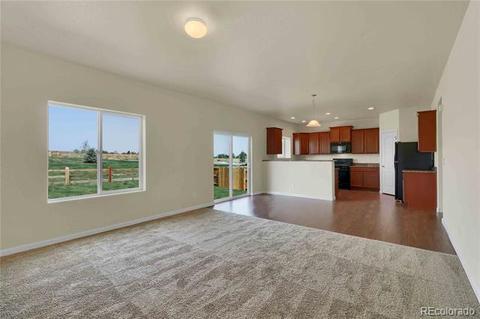 4207 E 95th Dr, Thornton, CO 80229 photo 4