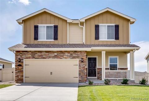 4207 E 95th Dr, Thornton, CO 80229 photo 1