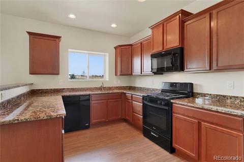 4207 E 95th Dr, Thornton, CO 80229 photo 2