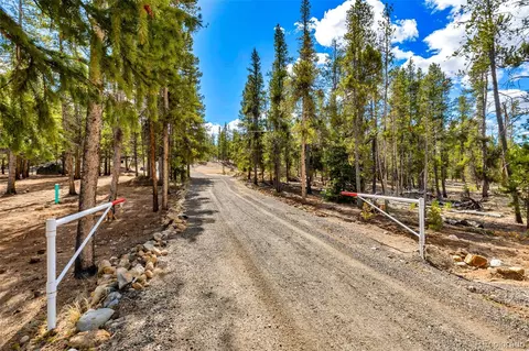 265 Placer Dr, Alma, CO 80420