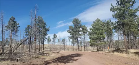 lot585 Leslie Loop, Fort Garland, CO 81133