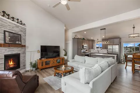 163 Minstrel Dr, Divide, CO 80814 photo 6