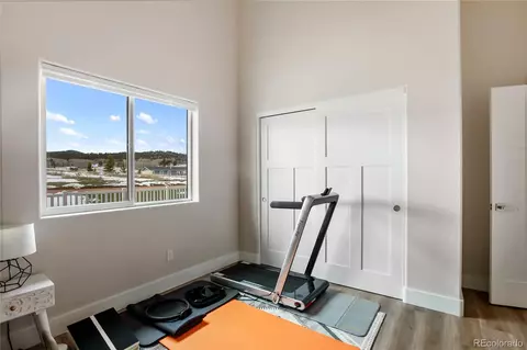 163 Minstrel Dr, Divide, CO 80814 photo 15