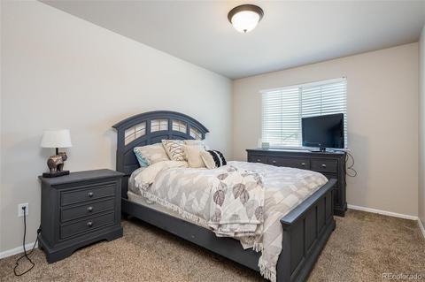 215 Castle Dr, Severance, CO 80550 photo 16
