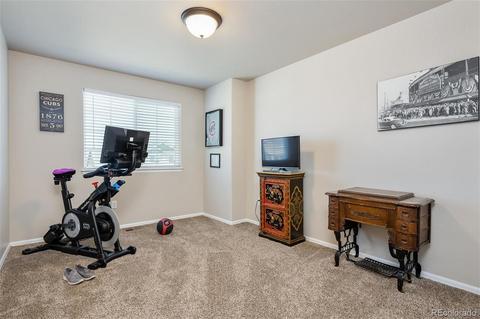 215 Castle Dr, Severance, CO 80550 photo 14
