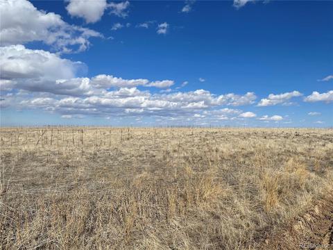 44907 E 120th Ave, Bennett, CO 80102 photo 4