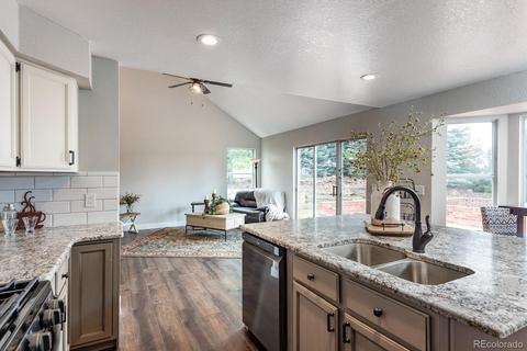 20155 E Williamson Dr, Parker, CO 80138 photo 10