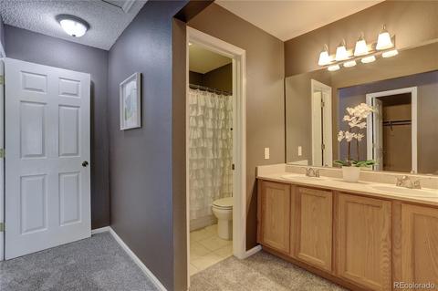 21597 E Crestline Ln, Centennial, CO 80015 photo 19