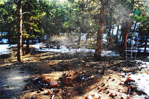 324 Dawson Rd, Pine, CO 80470 photo 10