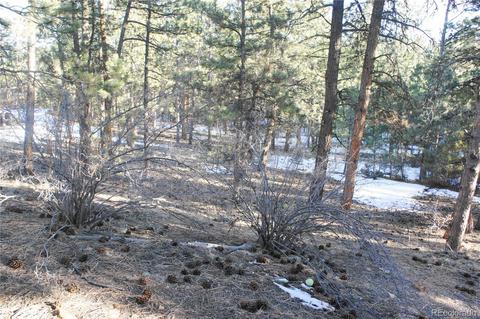 324 Dawson Rd, Pine, CO 80470 photo 17