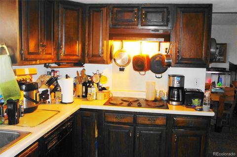 324 Dawson Rd, Pine, CO 80470 photo 7