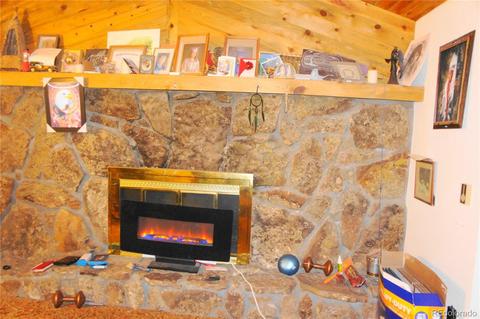 324 Dawson Rd, Pine, CO 80470 photo 5