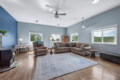 Living - 179 Camprobber Ct, Bailey, CO 80421 photo 3 of 4