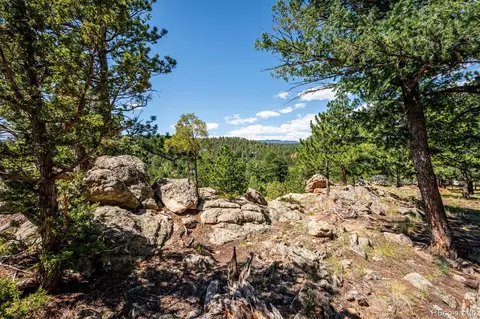 Other - 179 Camprobber Ct, Bailey, CO 80421 photo 11 of 15
