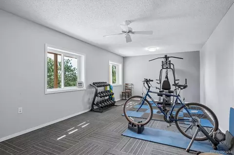 Other - 179 Camprobber Ct, Bailey, CO 80421 photo 6 of 15