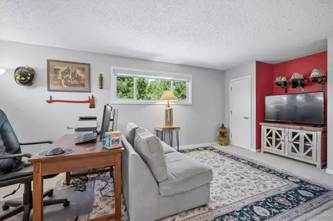Other - 179 Camprobber Ct, Bailey, CO 80421 photo 7 of 15