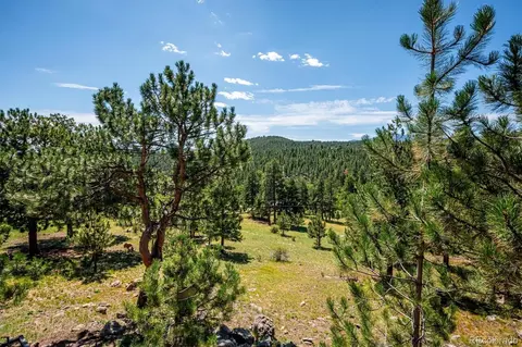 Other - 179 Camprobber Ct, Bailey, CO 80421 photo 9 of 15