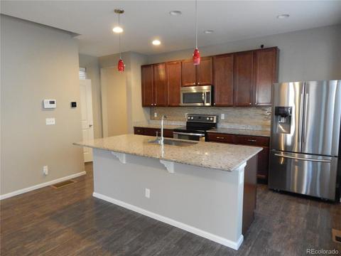 9244 E 52nd Dr, Denver, CO 80238 photo 4