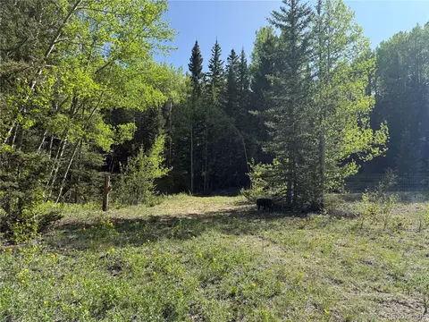 lot6843 Ryland Rd, Fort Garland, CO 81133