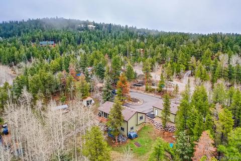 8950 Rex Ln, Conifer, CO 80433 photo 37