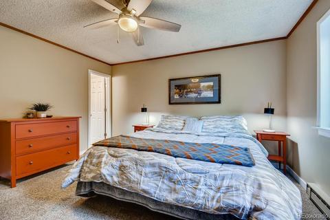 8950 Rex Ln, Conifer, CO 80433 photo 12
