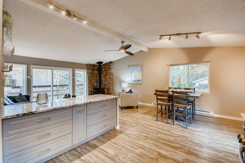 8950 Rex Ln, Conifer, CO 80433 photo 10