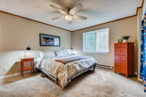 8950 Rex Ln, Conifer, CO 80433 photo 11