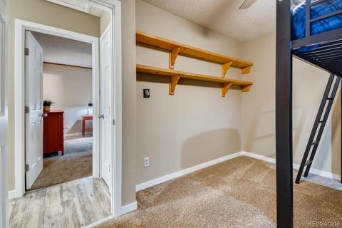 8950 Rex Ln, Conifer, CO 80433 photo 16