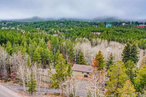 8950 Rex Ln, Conifer, CO 80433 photo 32