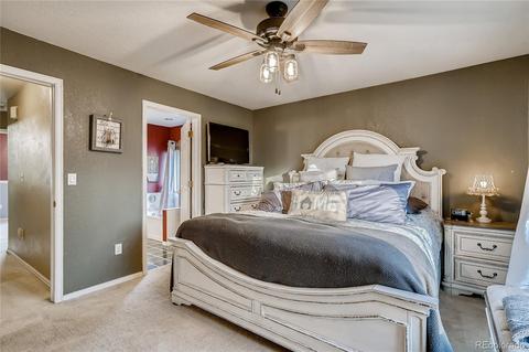 2532 E 131st Pl, Thornton, CO 80241 photo 13