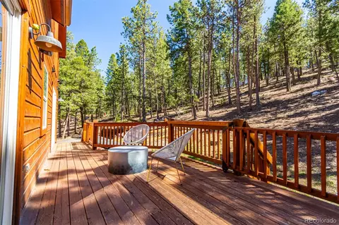 1372 Bluebird Dr, Bailey, CO 80421 photo 40