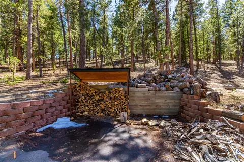 1372 Bluebird Dr, Bailey, CO 80421 photo 44