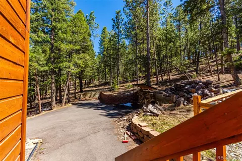 1372 Bluebird Dr, Bailey, CO 80421 photo 41