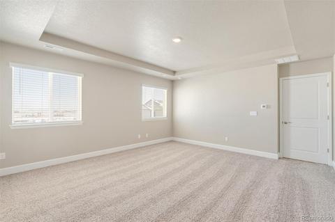 534 Fall River Ct, Brighton, CO 80601 photo 15