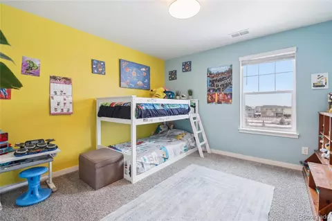 1953 Floret Dr, Windsor, CO 80550 photo 18