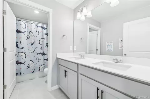 1953 Floret Dr, Windsor, CO 80550 photo 19