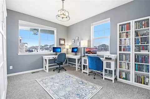 1953 Floret Dr, Windsor, CO 80550 photo 23
