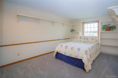 2880 E 124th Way, Thornton, CO 80241 photo 20