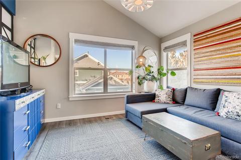 9084 E 29th Pl, Denver, CO 80238 photo 20
